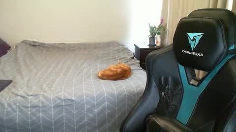 Snapshot of matchy666 chatting on 31, 1, 2025 Matchy online show from 31, 1, 2025