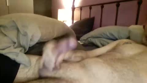 Snapshot of matrixdog69 chatting on 4, 11, 2025 matrixdog69 online show from 4, 11, 2025