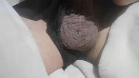 Snapshot of mattty13 chatting on 15, 5, 2026 Hairy Bud online show from 15, 5, 2026