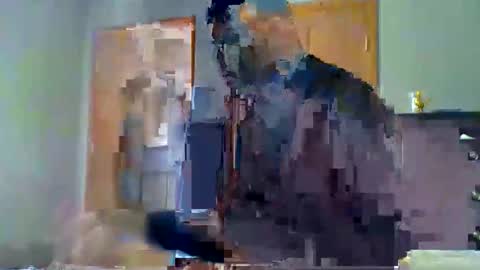 Snapshot of mauricescott chatting on 11, 4, 2026 mauricescott online show from 11, 4, 2026