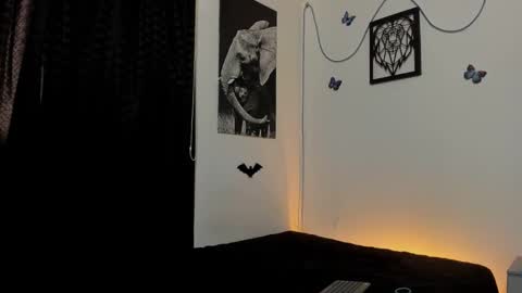 Alex online show from 31, 1, 2025