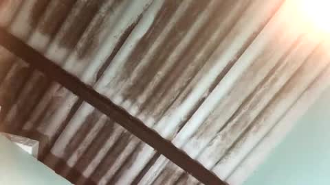 Snapshot of maximo_vega_new chatting on 25, 1, 2025 Maximo Aron Vega online show from 25, 1, 2025