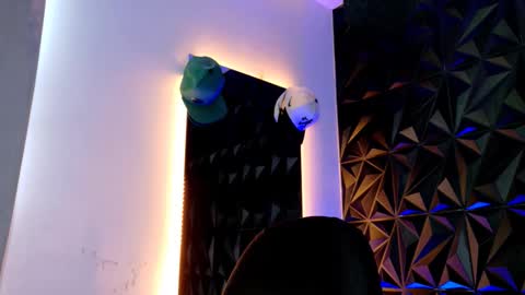 Snapshot of maxwell_dupont chatting on 13, 11, 2025 MAX online show from 13, 11, 2025