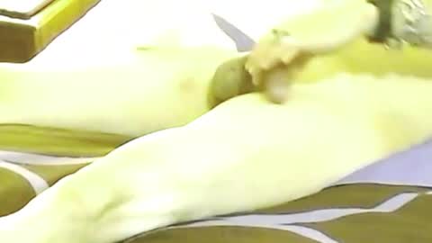 maxxflow online show from 12, 10, 2025