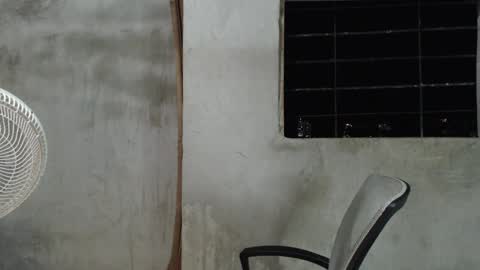 Mcgregor online show from 31, 12, 2024