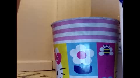 Snapshot of meaderd740870 chatting on 23, 1, 2025 meaderd740870 online show from 23, 1, 2025