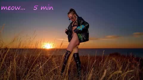 Sweet Meow nonude online show from 29, 10, 2025