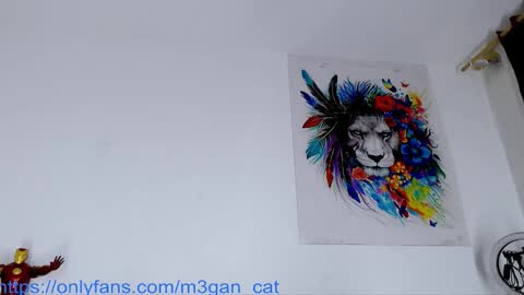 megan_cat online show from 25, 11, 2025