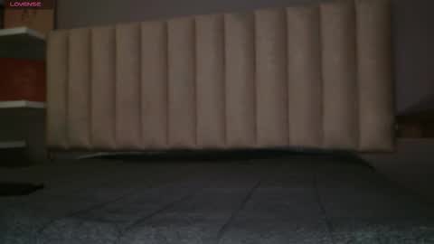     online show from 19, 1, 2026