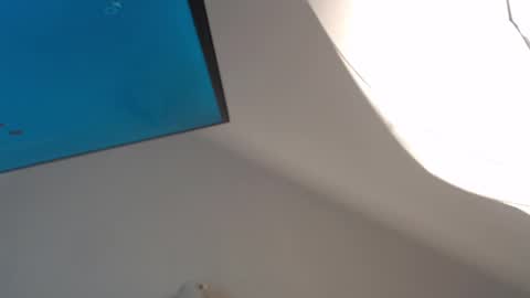 Megan online show from 6, 12, 2024