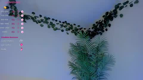 Snapshot of megancarlott_ chatting on 1, 3, 2025 megancarlott_ online show from 1, 3, 2025