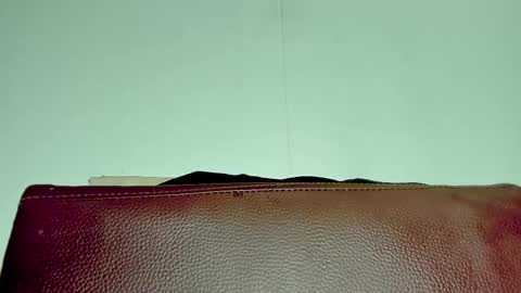 Snapshot of melania_browis chatting on 6, 11, 2025 Melania online show from 6, 11, 2025