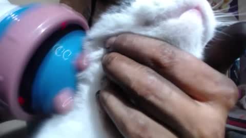 Snapshot of melany_isabella chatting on 6, 11, 2025 melany online show from 6, 11, 2025