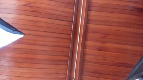 Melissa  Everyday From 1430 to 2130 Col Time online show from 13, 12, 2025