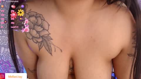 Snapshot of mellani_tay chatting on 3, 2, 2025 Mellani  online show from 3, 2, 2025