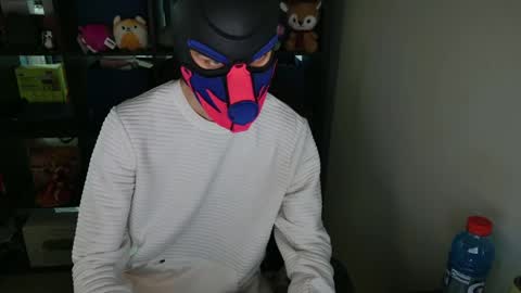 Snapshot of mellpup chatting on 5, 4, 2026 MellPUP online show from 5, 4, 2026