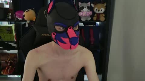 Snapshot of mellpup chatting on 9, 4, 2026 MellPUP online show from 9, 4, 2026