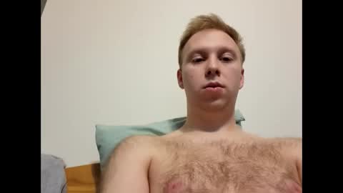 meow732 online show from 1, 11, 2025