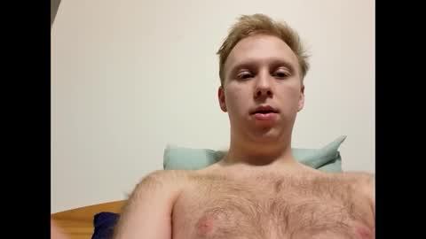 meow732 online show from 14, 11, 2025