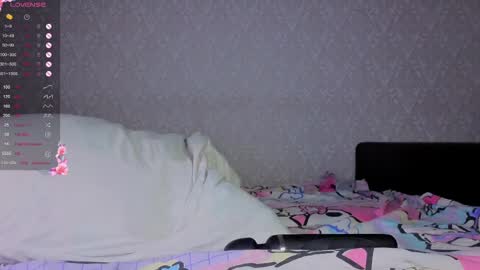 meowli online show from 2, 4, 2026