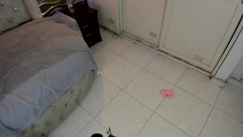 Snapshot of meraki_fraise chatting on 21, 1, 2025 online show from 21, 1, 2025