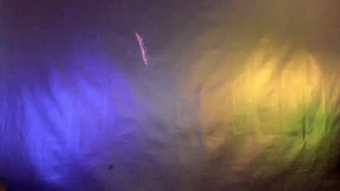 Snapshot of meraki_fraise chatting on 24, 1, 2025 online show from 24, 1, 2025