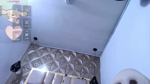 Snapshot of meraki_fraise chatting on 9, 11, 2025 online show from 9, 11, 2025