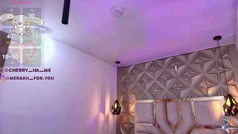 Snapshot of meraki_fraise chatting on 29, 11, 2025 online show from 29, 11, 2025