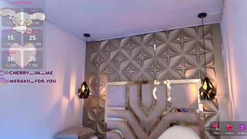 Snapshot of meraki_fraise chatting on 1, 12, 2025 online show from 1, 12, 2025