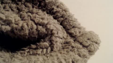 Snapshot of mesmerize88 chatting on 1, 2, 2025 Mauro online show from 1, 2, 2025