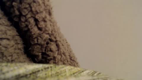 Snapshot of mesmerize88 chatting on 6, 2, 2025 Mauro online show from 6, 2, 2025