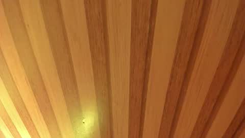 Snapshot of mia__blaze_ chatting on 20, 3, 2026 mia__blaze_ online show from 20, 3, 2026