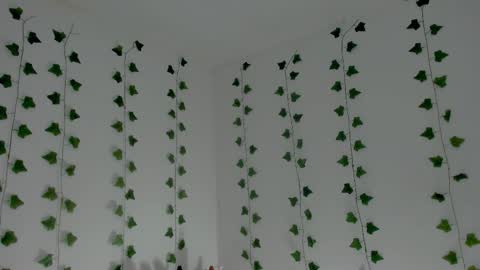 MIA online show from 18, 1, 2026