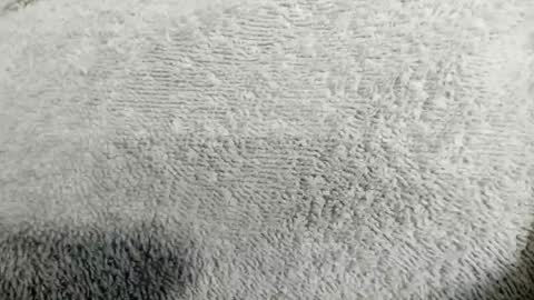 Mia online show from 20, 4, 2026