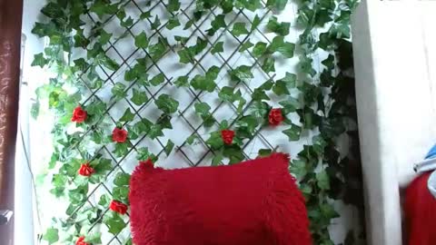 Mia squirt big INDEPENDENT MODEL...ONLYFANS  online show from 6, 12, 2024