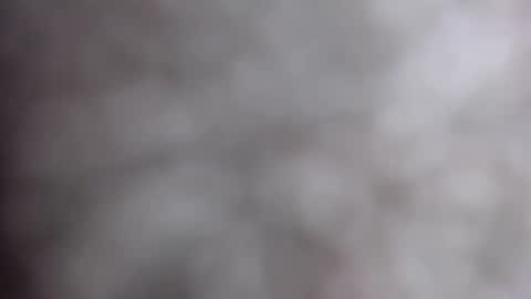 MiahLove31 online show from 17, 10, 2025