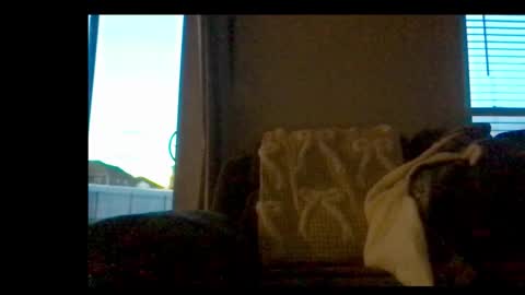 Snapshot of michaelt483 chatting on 21, 2, 2026 michaelt483 online show from 21, 2, 2026