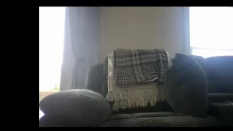 Snapshot of michaelt483 chatting on 24, 3, 2026 michaelt483 online show from 24, 3, 2026