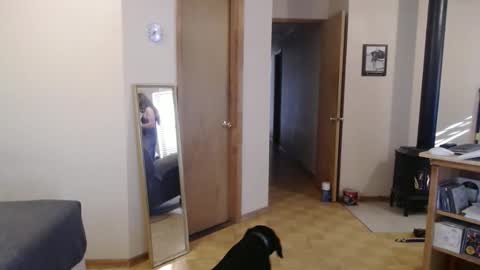 Snapshot of michelle209 chatting on 13, 2, 2025 Michelle online show from 13, 2, 2025