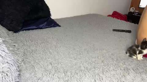 Snapshot of michellepetitte chatting on 20, 3, 2026 michellepetitte online show from 20, 3, 2026