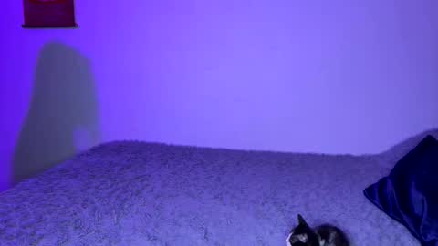 Snapshot of michellepetitte chatting on 2, 4, 2026 michellepetitte online show from 2, 4, 2026