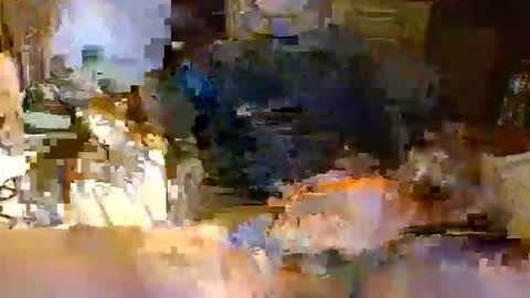 Snapshot of michiganstud28 chatting on 22, 4, 2026 michiganstud28 online show from 22, 4, 2026