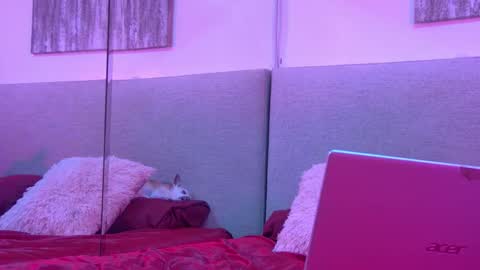 Mickey online show from 27, 11, 2025