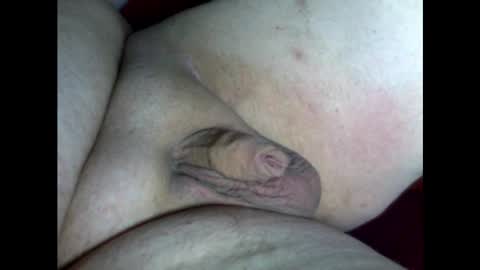 micropimmel online show from 18, 2, 2025