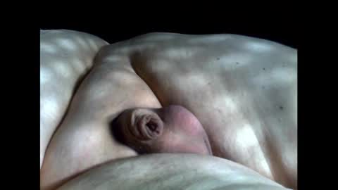 micropimmel online show from 12, 9, 2025