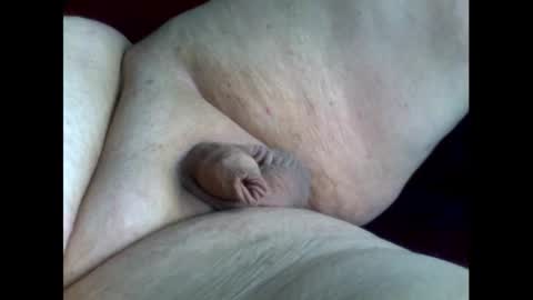 micropimmel online show from 16, 9, 2025