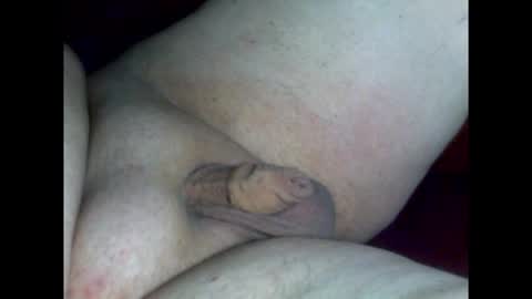 micropimmel online show from 18, 2, 2026