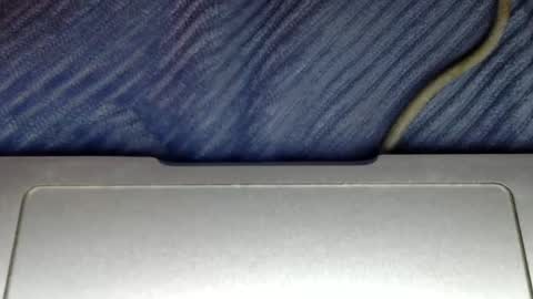 midiin online show from 5, 12, 2024