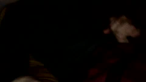 midiin online show from 10, 12, 2024