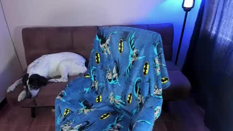 Blue online show from 19, 9, 2025